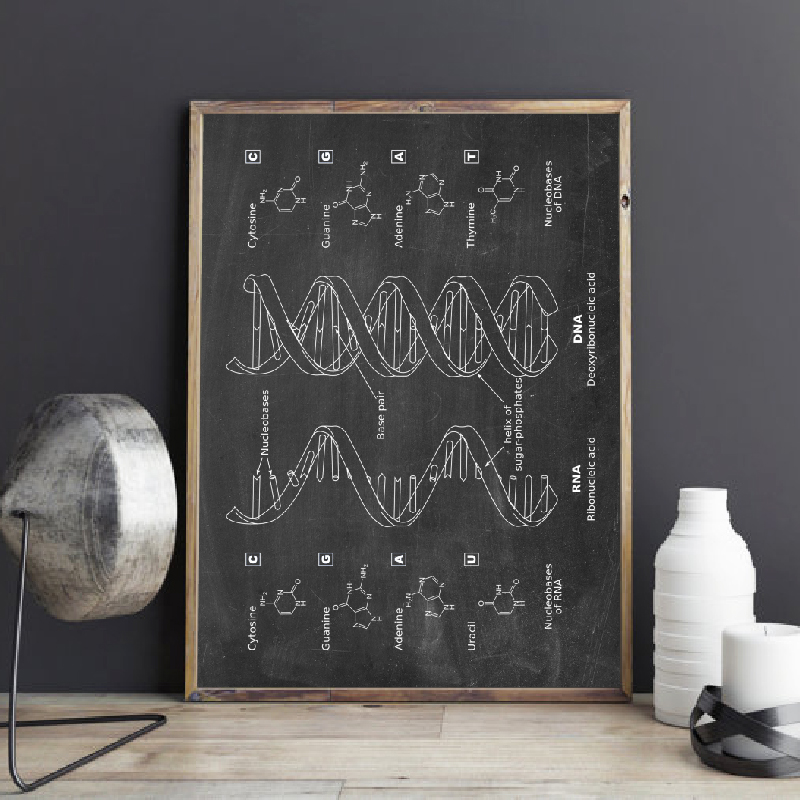DNA Patent Wall Art Genetics P – Star Map Poster recenzja i cena